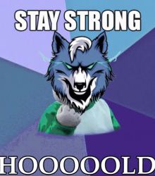 Stay Strong WOLFCOIN