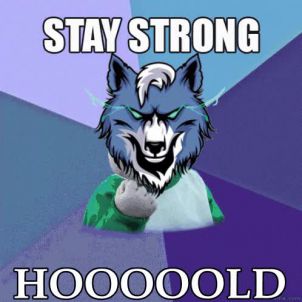 Stay Strong WOLFCOIN