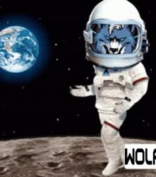WOLFCOIN Moonwalking on the moon