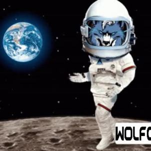WOLFCOIN Moonwalking on the moon