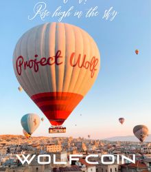 RISE HIGH IN THE SKY. PROJECT WOLF. WOLFCOIN.