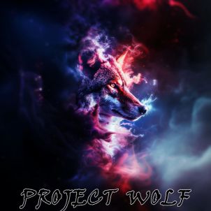 Project Wolf of the creation of the universe
