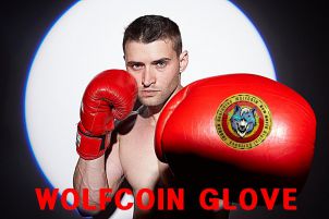 WOLFCOIN BOXING GLOVE