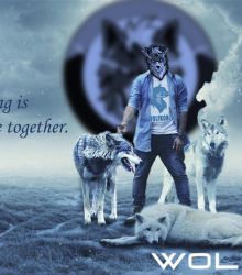 Because they are together : WOLFCOIN