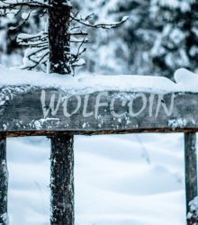 SNOW ROAD - WOLFCOIN