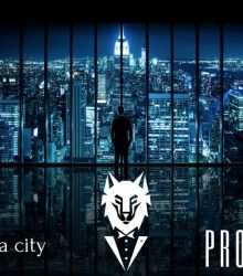 WE WILL BUILD A CITY.  WOLFCOIN.