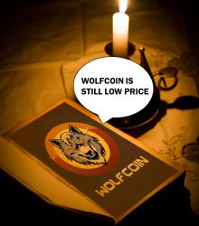 어둠을 밝히는 울프코인 WOLFCOIN THAT LIGHTS UP THE DARKNESS