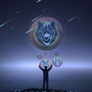 Wolf brothers, be ambitious with WOLFCOIN!