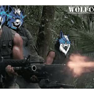 WOLF FORCE : Fighting for WOLFCOIN!!