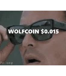 What's going on The WOLFCOIN?