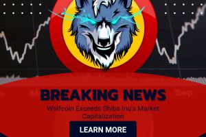 BREAKING NEWS : WOLFCOIN exceeds SHIBA ...