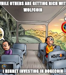 What the hell did I do while everyone was getting rich with WOLFCOIN?