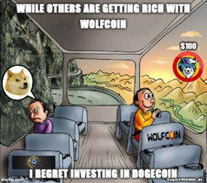 What the hell did I do while everyone was getting rich with WOLFCOIN?