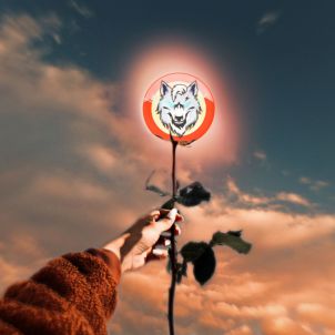 It's the time you spend on your rose that makes your rose so important.(WOLFCOIN MEME)