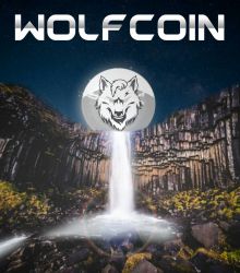 For some people, WOLFCOIN can be thought of as just such coin, but for others, It can be like water of life. Only those who recognize WOLFCOIN's true self can change their lives.
