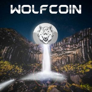 For some people, WOLFCOIN can be thought of as just such coin, but for others, It can be like water of life. Only those who recognize WOLFCOIN's true self can change their lives.