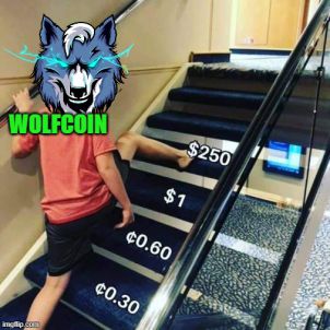 $250 - WOLFCOIN