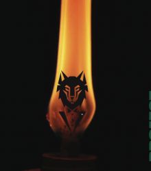 A quiet flame, the beginning of Project Wolf. WOLFCOIN.