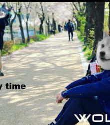 Enjoy happy time with WOLF : WOLFCOIN