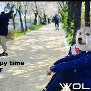 Enjoy happy time with WOLF : WOLFCOIN