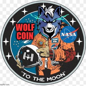 WOLFCOIN(Feat.NASA) - WOLFCOIN