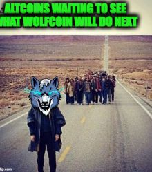 WOLFCOIN WILL DO NEXT - WOLFCOIN