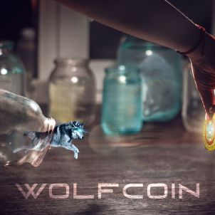It's time to wake up, wolf brothers!(WOLFCOIN MEME)