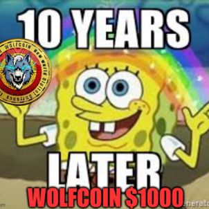 10 YEARS LATER - WOLFCOIN - WOLFKOREA