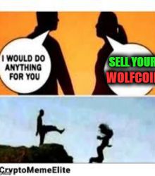 I WOULD DO ANYTHING FOR YOU - WOLFCOIN