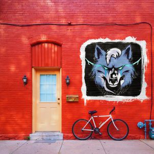 Red Wall - WOLFCOIN