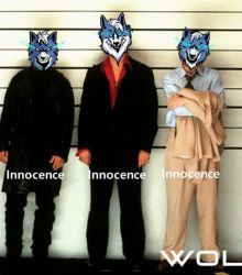 WOLFCOIN COURT OF LAW : SHIBA IS THE CULPRIT