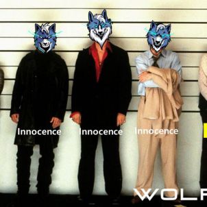 WOLFCOIN COURT OF LAW : SHIBA IS THE CULPRIT
