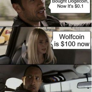 wolfcoin $100