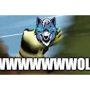 WOLFCOIN Wolf Run