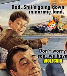 DONT'T WORRY SON, WE HAVE WOLFCOIN