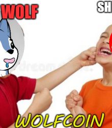 BABY WOLF VS SHIBA INU - WOLFCOIN - WOLFKOREA