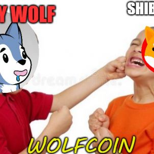 BABY WOLF VS SHIBA INU - WOLFCOIN - WOLFKOREA