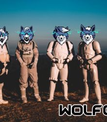 Wolfcoins Ready // Bro, are you ready?