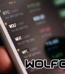 You're next after Bitcoin. WolfCoin