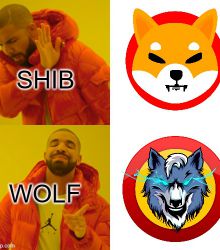 SHIB? NO! WOLF? YES!