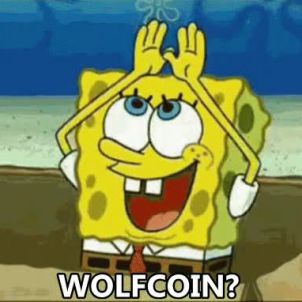 How is the WOLFCOIN?