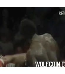 WOLFCOIN : Hey come on Brat!!
