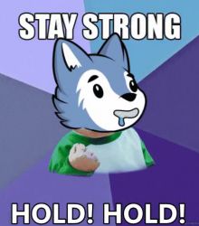 Stay Strong WOLFCOIN (BABY VER)