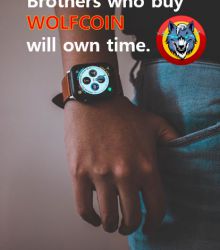 Brothers who buy WOLFCOIN will own time.
