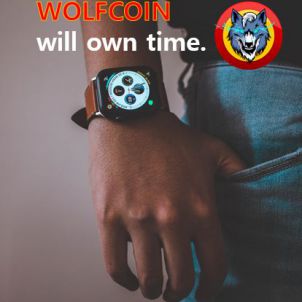 Brothers who buy WOLFCOIN will own time.