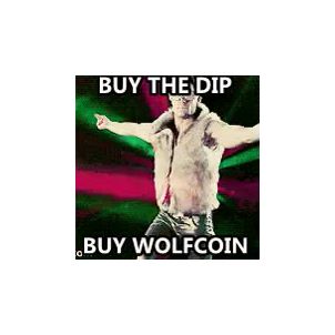 Buy the dip WOLFCOIN!