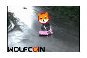 WOLFCOIN : You can not go to here