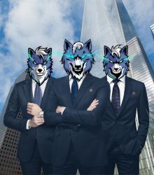 남자들의 울프코인 지지선언  Men in the city declare support for Wolfcoin
