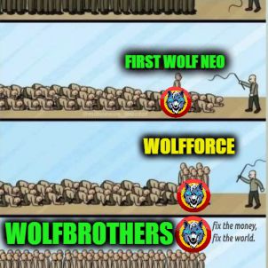FIRST WOLF NEO - WOLFCOIN