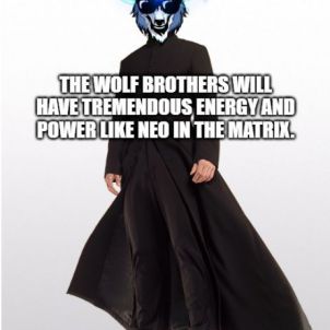 WOLFCOIN is energy and power.